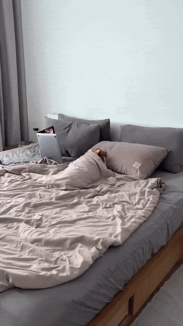 GIFs in SaaS Emails: GIF showcasing a meme of a corgi in bed