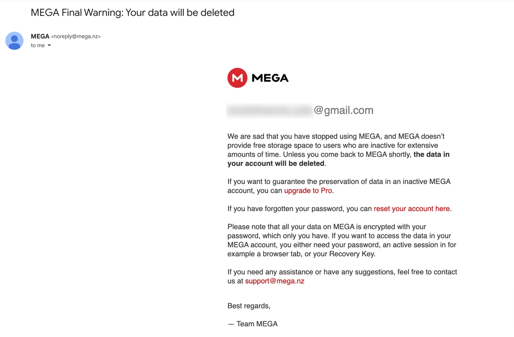 Account Removal Emails: Screenshot of Mega's account notification email about pending account deletion