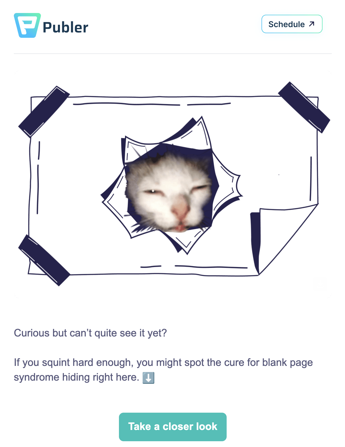 Creative SaaS Emails: Screenshot of Publer's creative email showing a cat meme