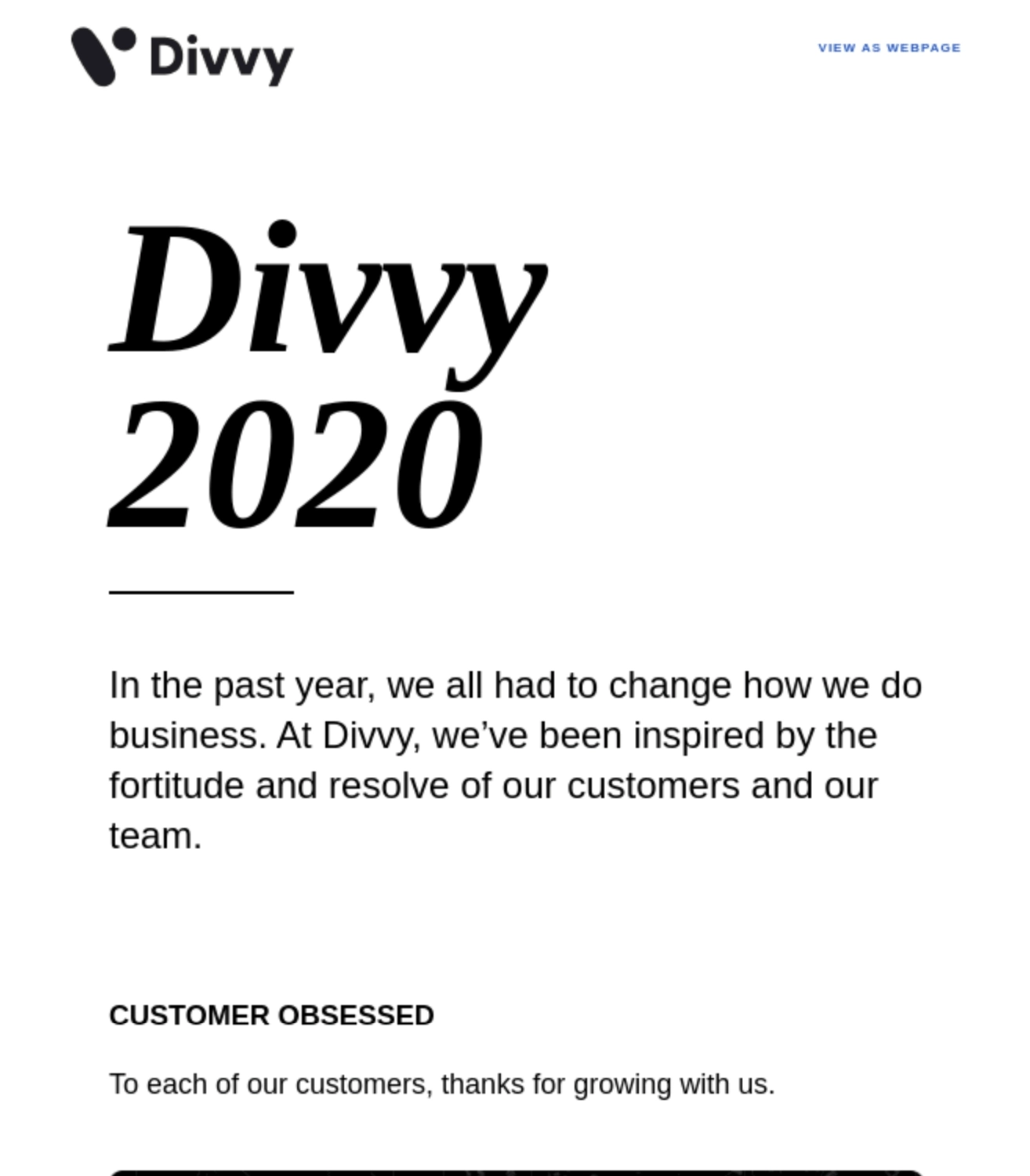 Email Engagement Content Ideas: Screenshot of Divvy's email showing their year in review