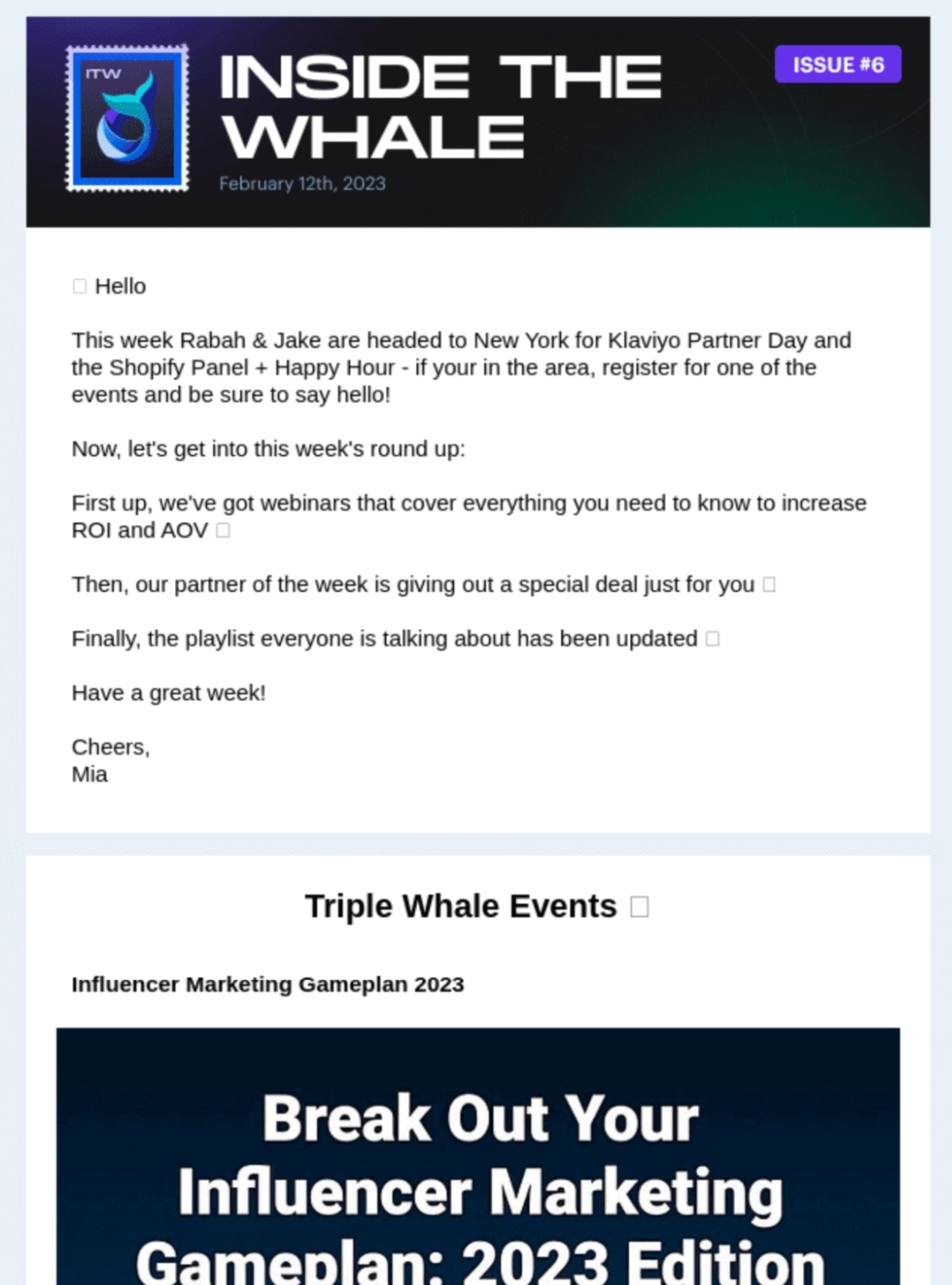 Email Engagement Content Ideas: Screenshot of Triple Whale's email talking about their internal rituals