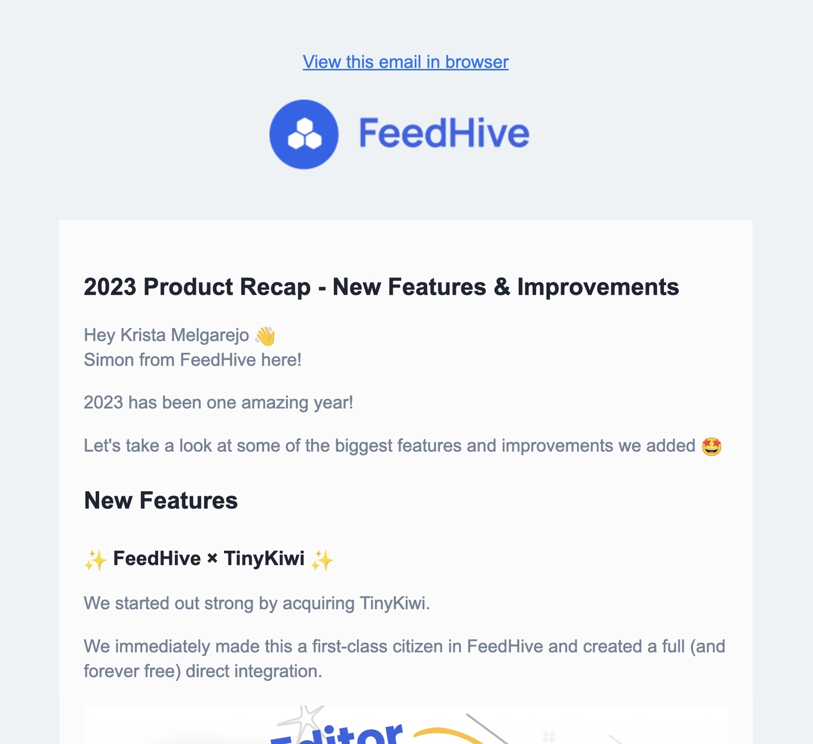 Year-in-review emails: Screenshot of FeedHive's year-in-review email